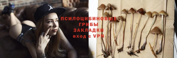 твердый Армянск